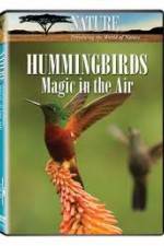 Watch Hummingbirds Magic in the Air Megashare8