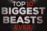 Watch Top 10 Biggest Beasts Ever Megashare8