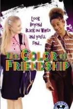 Watch The Color of Friendship Megashare8