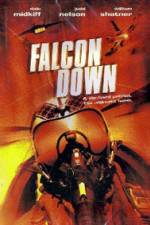 Watch Falcon Down Megashare8