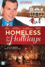 Watch Homeless for the Holidays Megashare8