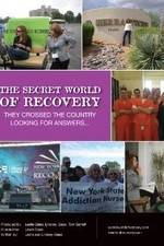 Watch The Secret World of Recovery Megashare8