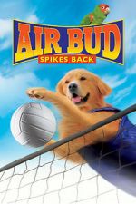 Watch Air Bud: Spikes Back Megashare8