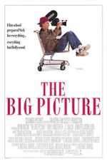 Watch The Big Picture Megashare8