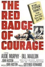 Watch The Red Badge of Courage Megashare8