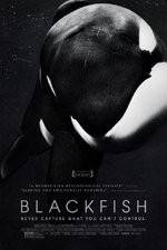 Watch Blackfish Megashare8