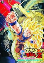 Watch Dragon Ball Z: Wrath of the Dragon Megashare8