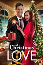 Watch A Christmas Love Megashare8