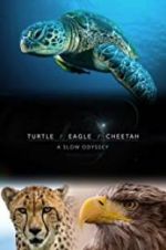 Watch Turtle, Eagle, Cheetah: A Slow Odyssey Megashare8