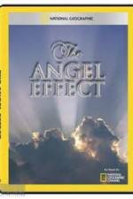 Watch National Geographic Explorer - The Angel Effect Megashare8