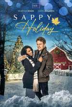 Watch Sappy Holiday Megashare8