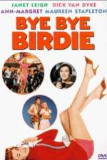 Watch Bye Bye Birdie Megashare8