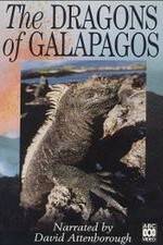 Watch The Dragons of Galapagos Megashare8