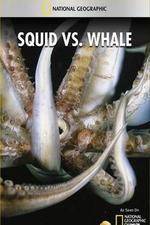 Watch National Geographic Wild - Squid Vs Whale Megashare8