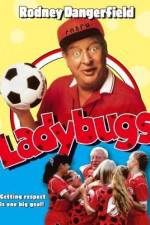 Watch Ladybugs Megashare8