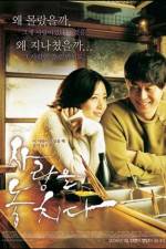 Watch Lost in Love Megashare8