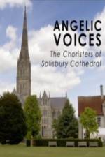 Watch Angelic Voices The Choristers of Salisbury Cathedral Megashare8