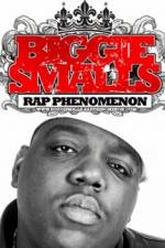 Watch Biggie Smalls Rap Phenomenon Megashare8