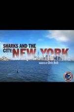 Watch Sharks and the City: New York Megashare8