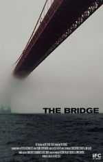 Watch The Bridge Megashare8