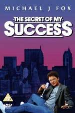 Watch The Secret of My Succe$s Megashare8