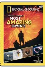 Watch National Geographic's Most Amazing Moments Megashare8