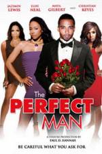 Watch The Perfect Man Megashare8