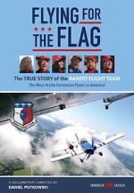Watch Flying for the Flag Megashare8