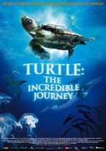 Watch Turtle: The Incredible Journey Megashare8