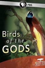 Watch Birds Of The Gods Megashare8
