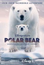 Watch Polar Bear Megashare8
