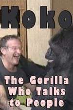 Watch Koko: The Gorilla Who Talks to People Megashare8