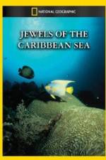 Watch National Geographic Jewels of the Caribbean Sea Megashare8