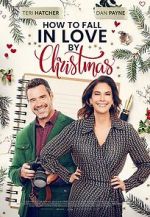 Watch How to Fall in Love by Christmas Megashare8