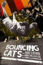 Watch Bouncing Cats Megashare8