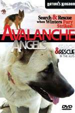 Watch Avalanche Angels Megashare8