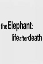 Watch The Elephant - Life After Death Megashare8