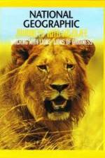 Watch National Geographic:  Walking with Lions Megashare8