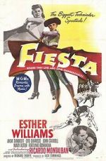 Watch Fiesta Megashare8