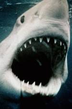 Watch Sharkmania: The Top 15 Biggest Baddest Bloodiest Bites Megashare8