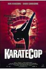 Watch Karate Cop Megashare8