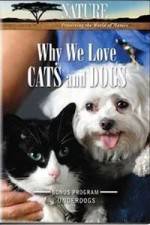 Watch Why We Love Cats And Dogs Megashare8