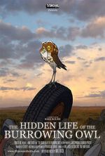 Watch The Hidden Life of the Burrowing Owl (Short 2008) Megashare8