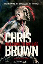 Watch Chris Brown Welcome to My Life Megashare8