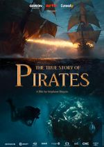 Watch The True Story of Pirates Megashare8