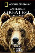 Watch America's Greatest Animals Megashare8