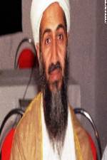 Watch Osama Bin Laden The Finish Megashare8