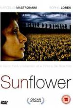 Watch Sunflower Megashare8