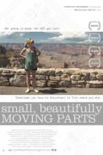 Watch Small Beautifully Moving Parts Megashare8