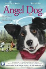 Watch Angel Dog Megashare8